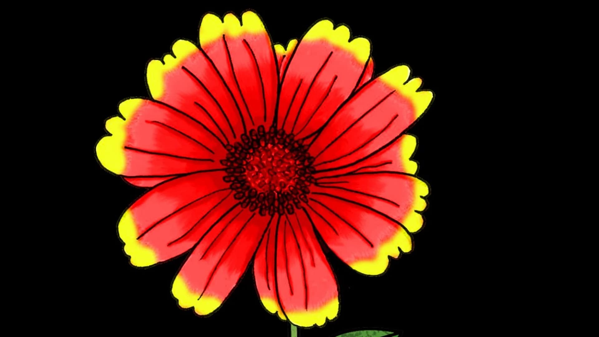 Gaillarde d'Argent