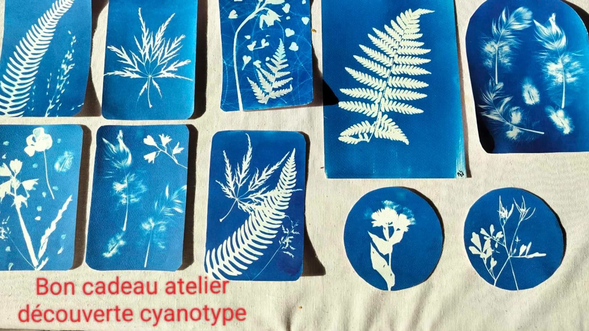 Bon cadeau atelier découverte cyanotype
