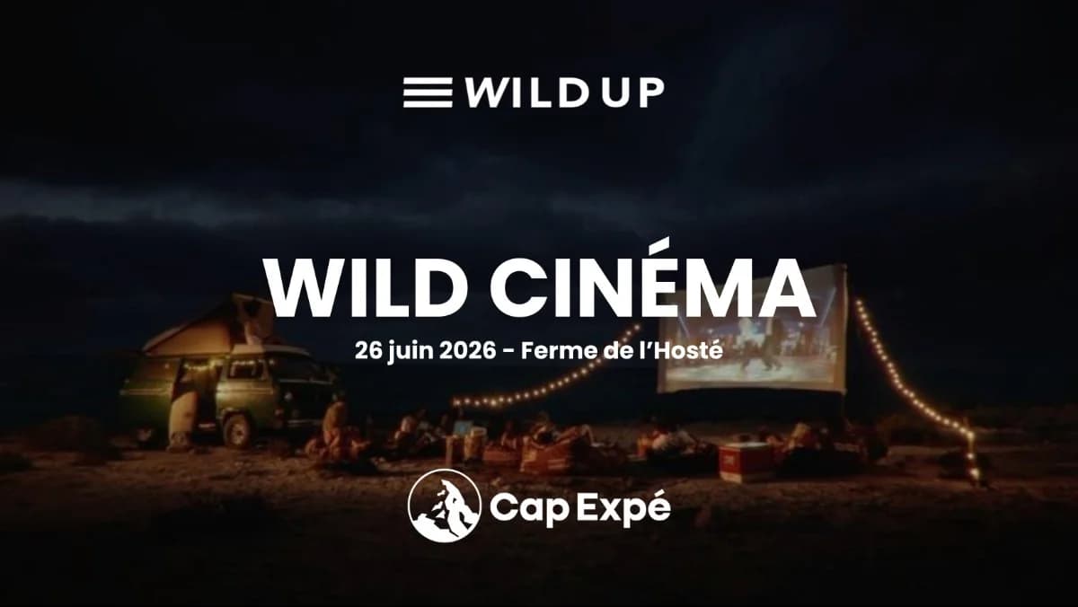 WILD CINEMA