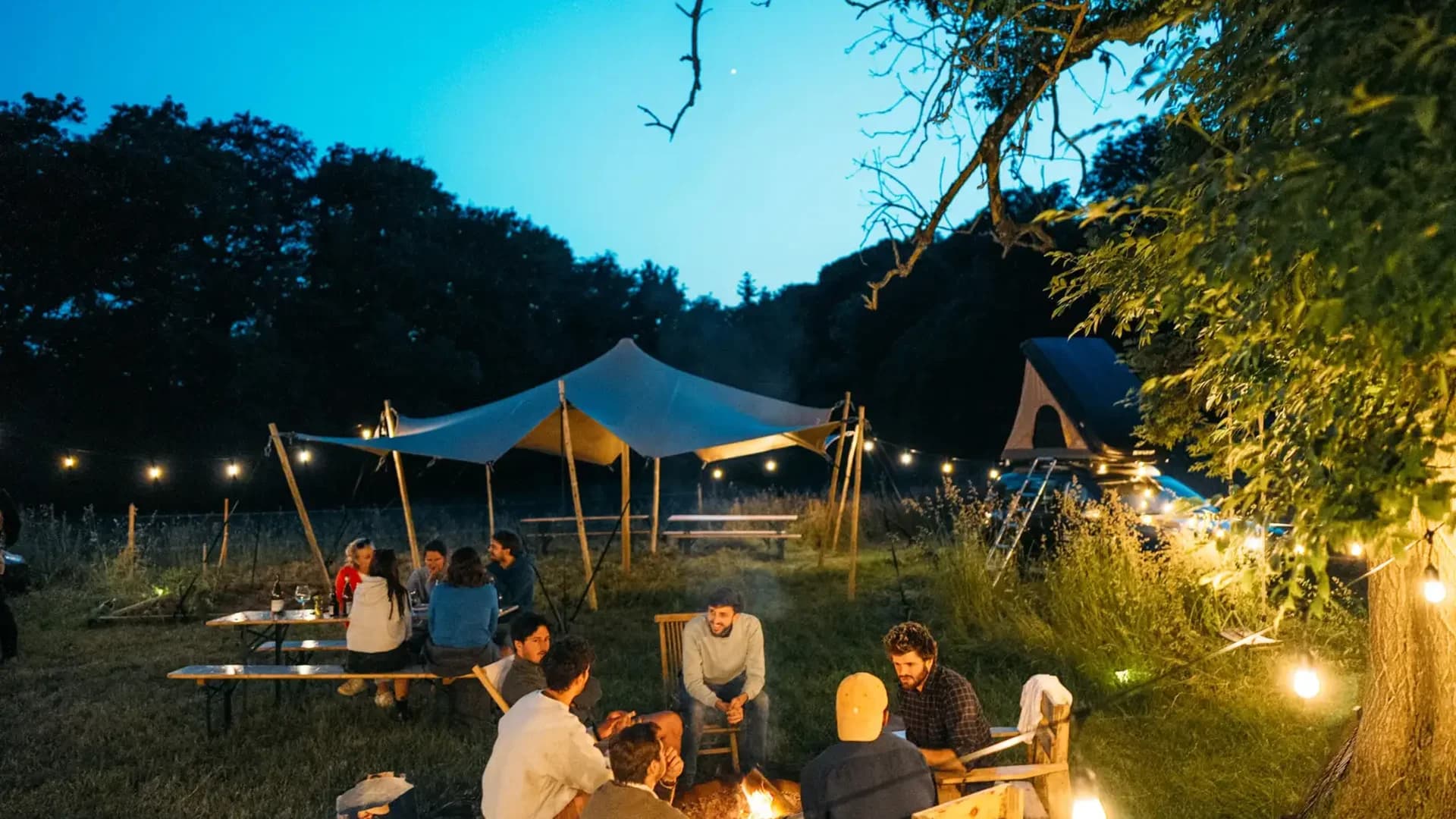 WildUp fête ses 2 ans!