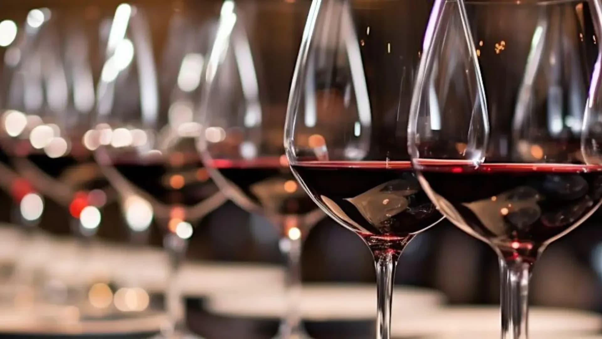 Initiation à la dégustation de vin