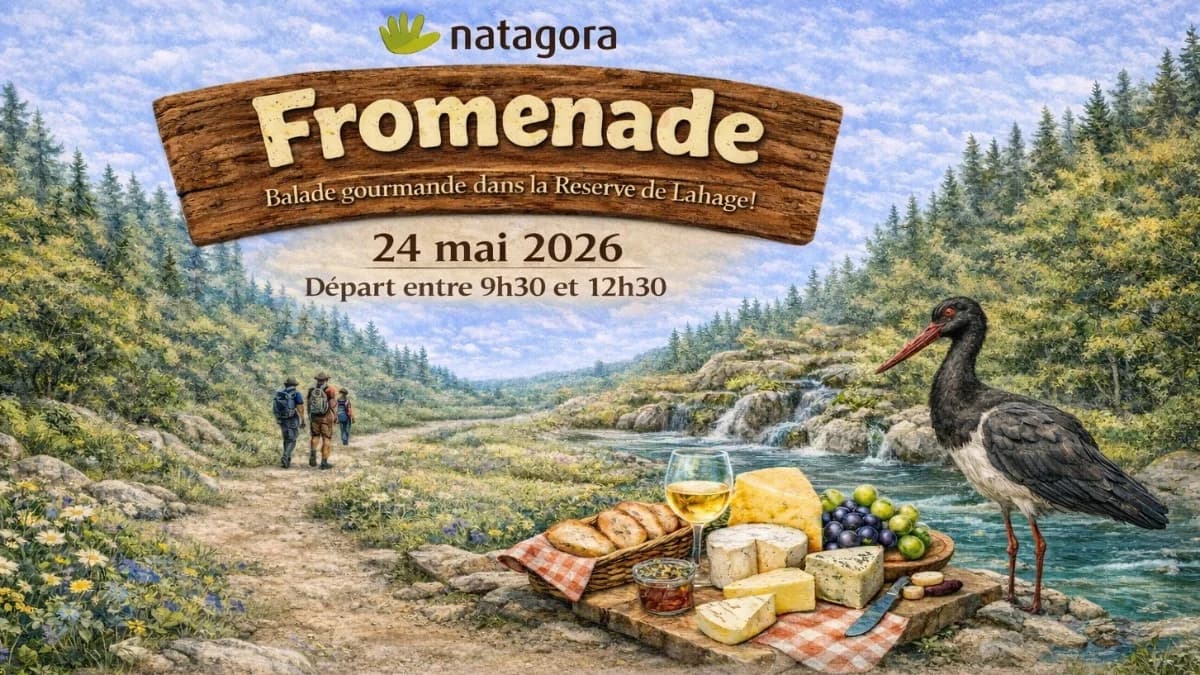 Fromenade