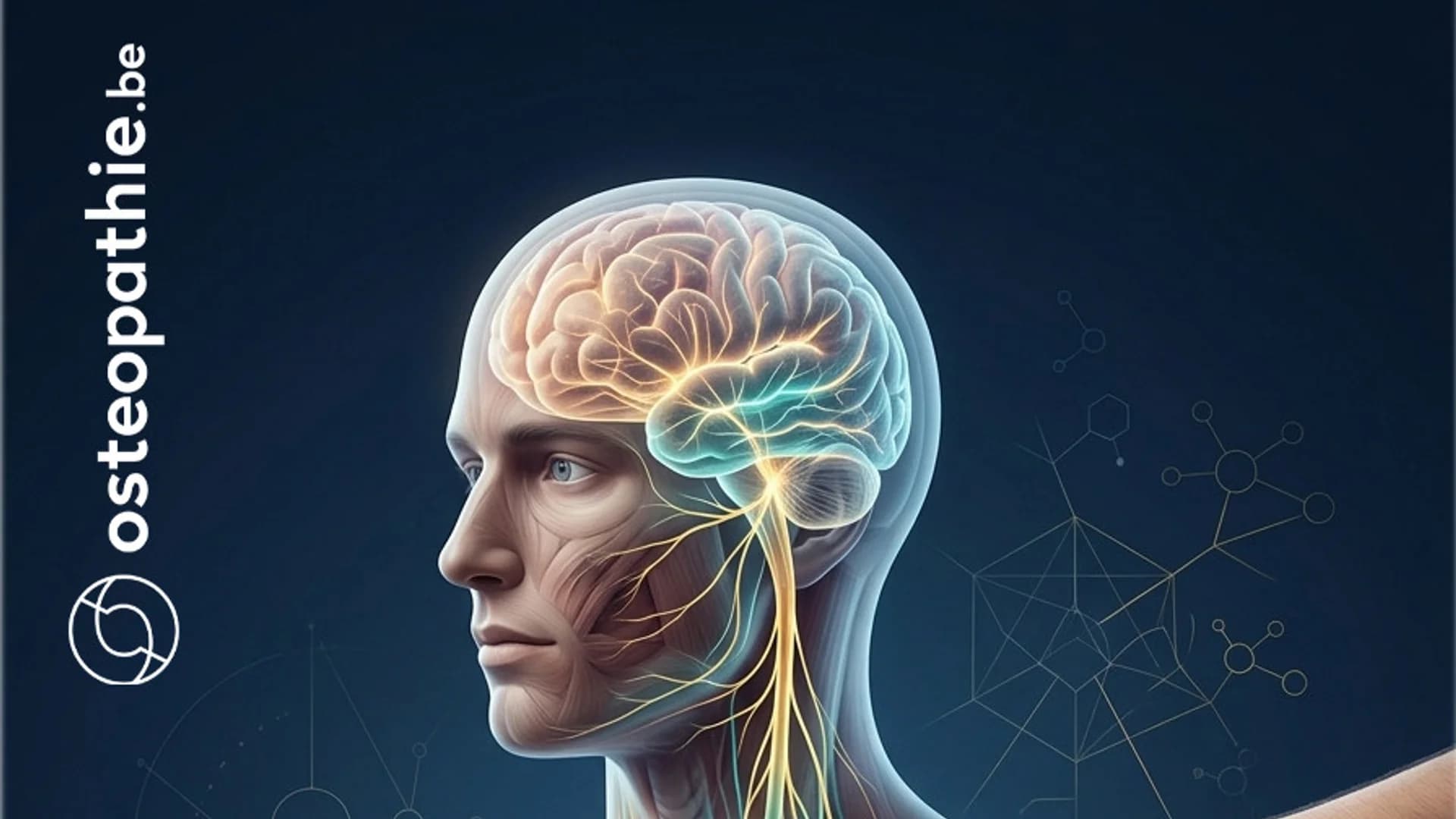 Toucher, perceptions et expérience clinique en ostéopathie. Perspectives issues des neurosciences, de l’anthropologie médicale et des épistémologies autochtones