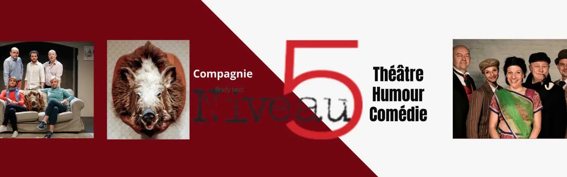Cie Niveau 5
