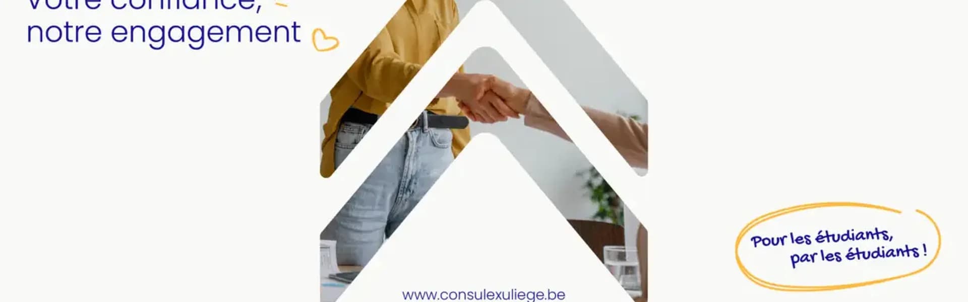 ConsuLex