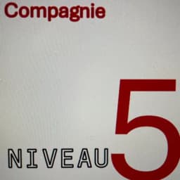 Cie Niveau 5
