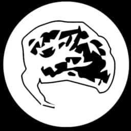 Distorted Minds